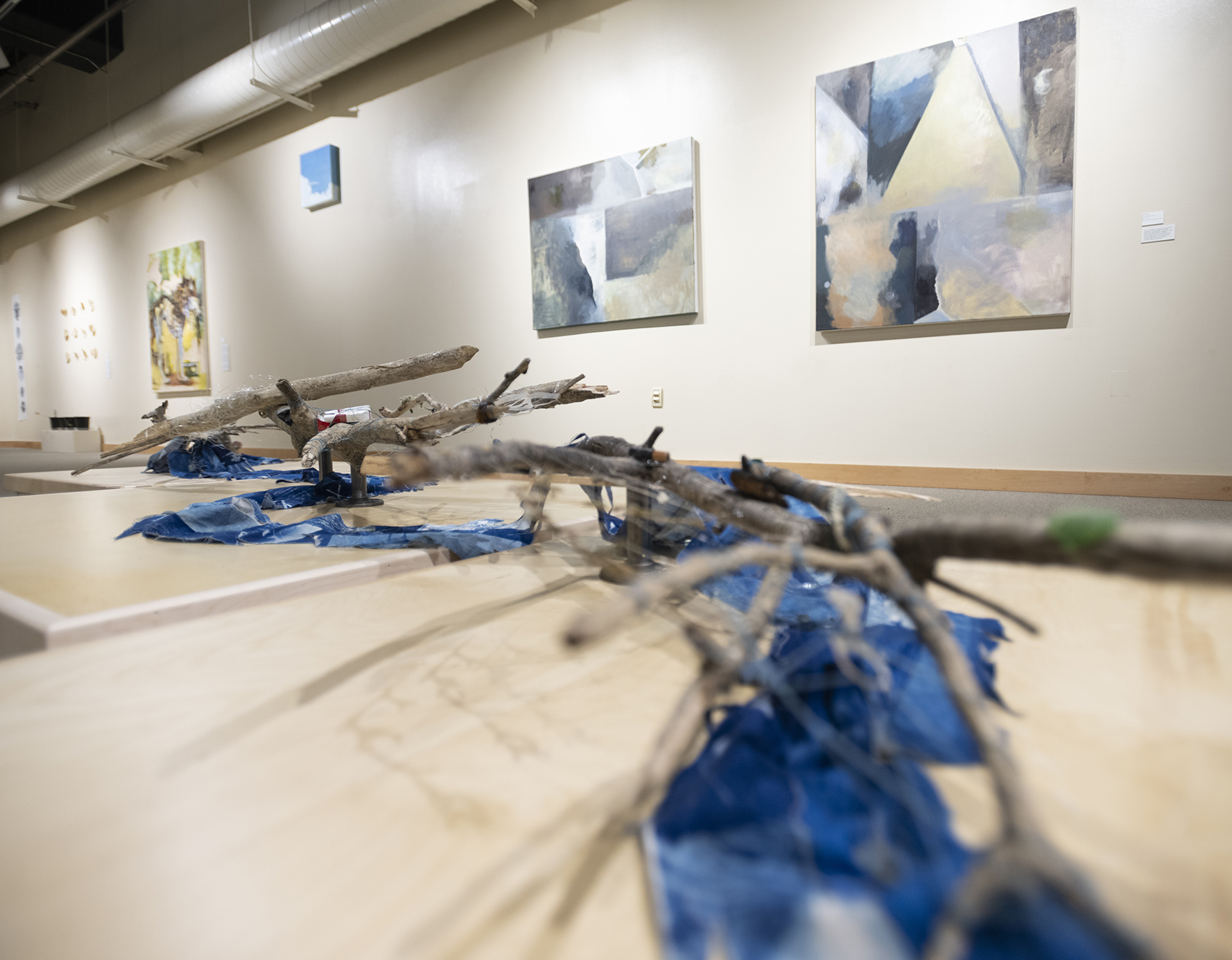Photo of 'In Symbiosis' artworks 