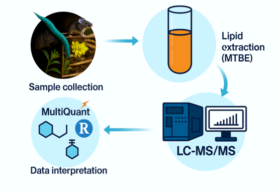 cycle of lipidomics