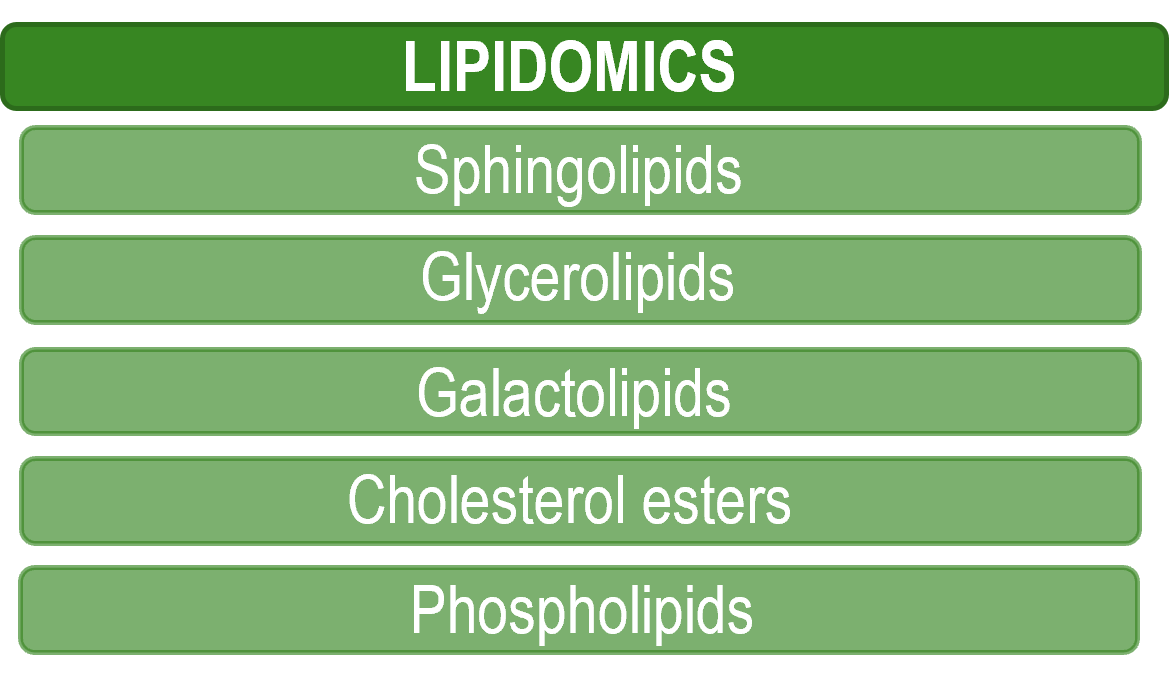 lipidomics 