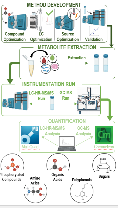 cycle of targeted metabolomics