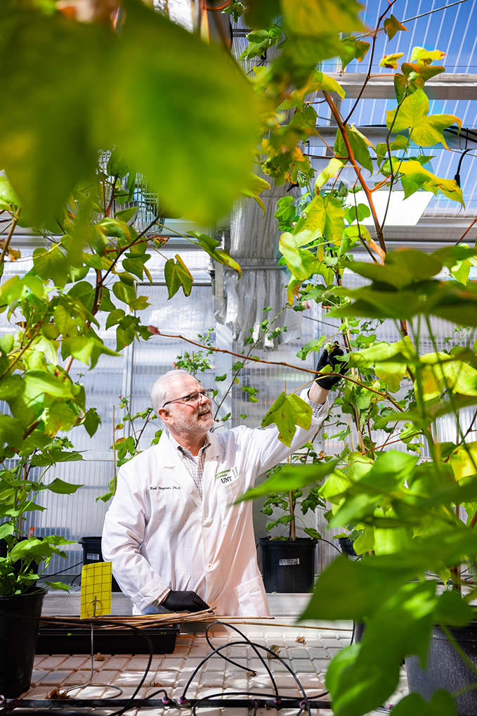Photo of UNT professor Kent Chapman