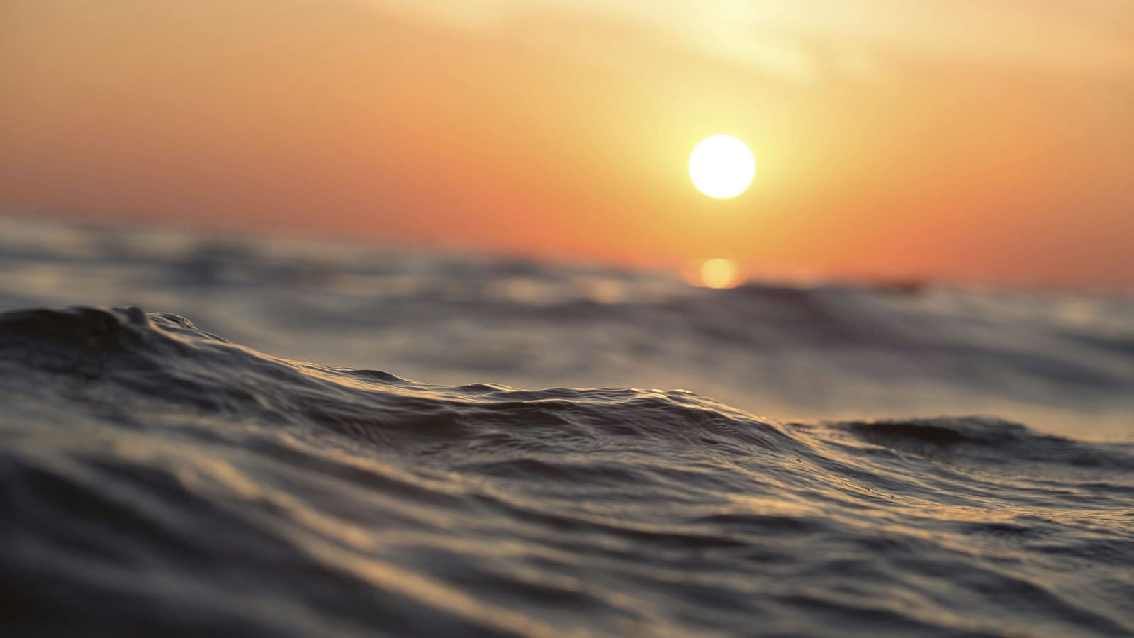 Stock photo of ocean with sun in the distance