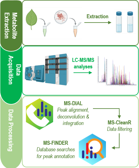 cycle of metabolite extraction to data acquisition to data processing